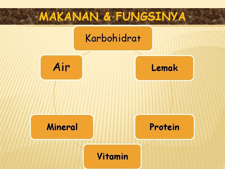 MAKANAN & FUNGSINYA Karbohidrat Air Lemak Mineral Protein Vitamin 