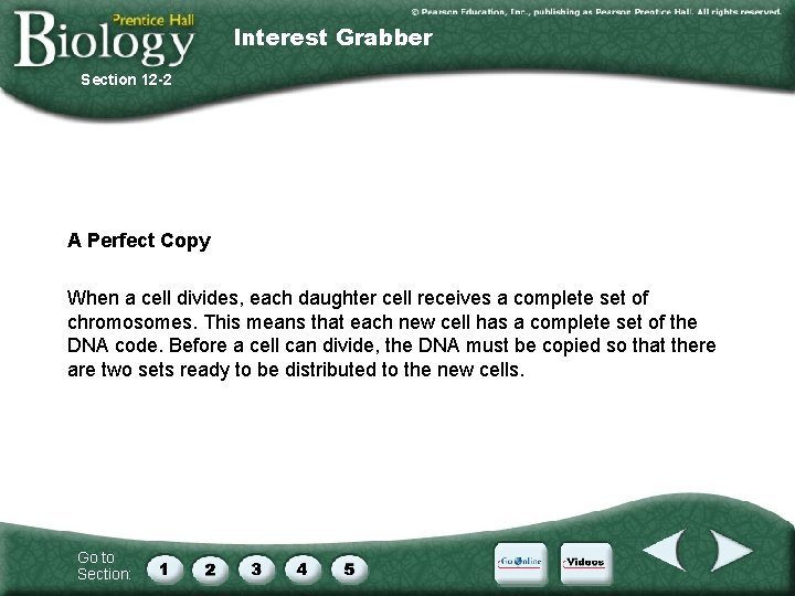 Interest Grabber Section 12 -2 A Perfect Copy When a cell divides, each daughter