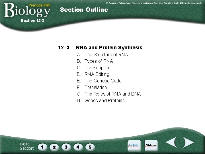 Section Outline Section 12 -3 12– 3 RNA and Protein Synthesis A. B. C.
