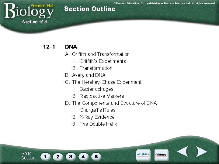 Section Outline Section 12 -1 12– 1 DNA A. Griffith and Transformation 1. Griffith’s