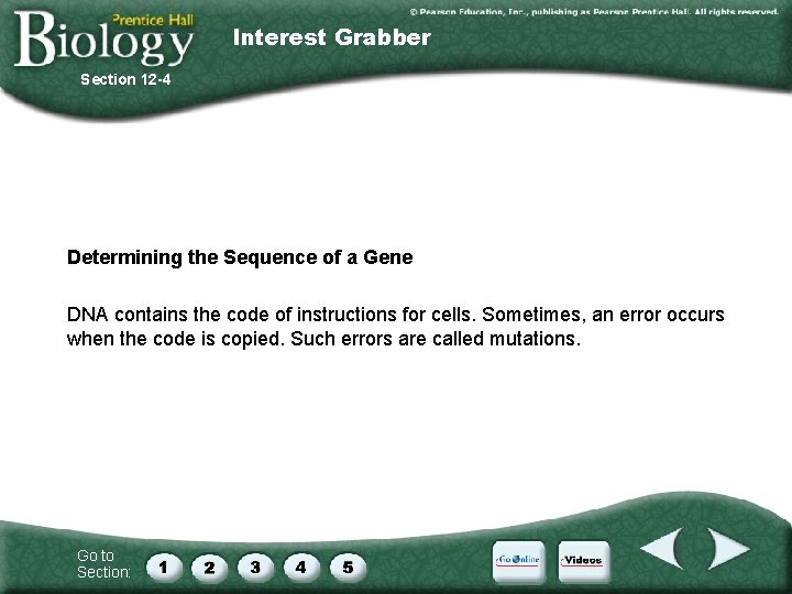 Interest Grabber Section 12 -4 Determining the Sequence of a Gene DNA contains the