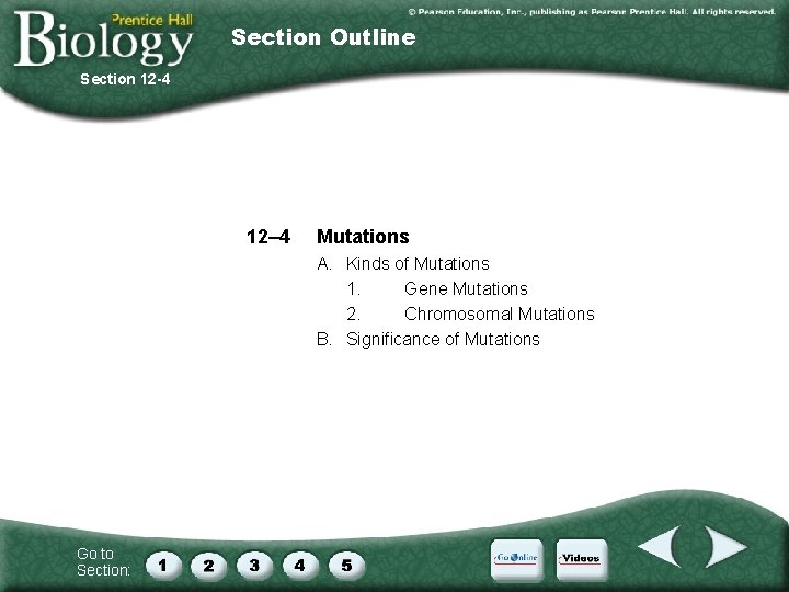 Section Outline Section 12 -4 12– 4 Mutations A. Kinds of Mutations 1. Gene