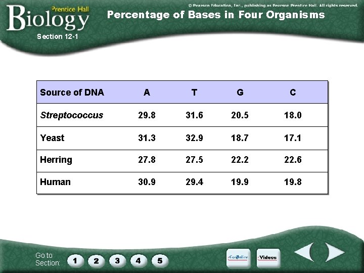 Percentage of Bases in Four Organisms Section 12 -1 Source of DNA A T