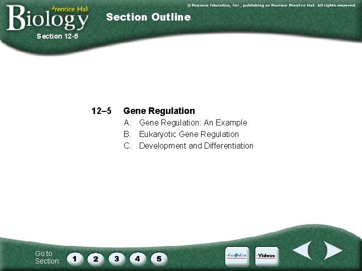Section Outline Section 12 -5 12– 5 Gene Regulation A. Gene Regulation: An Example
