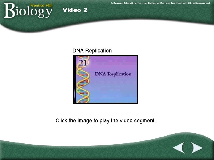 Video 2 DNA Replication Click the image to play the video segment. 