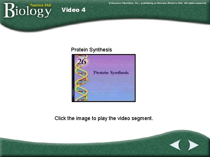 Video 4 Protein Synthesis Click the image to play the video segment. 