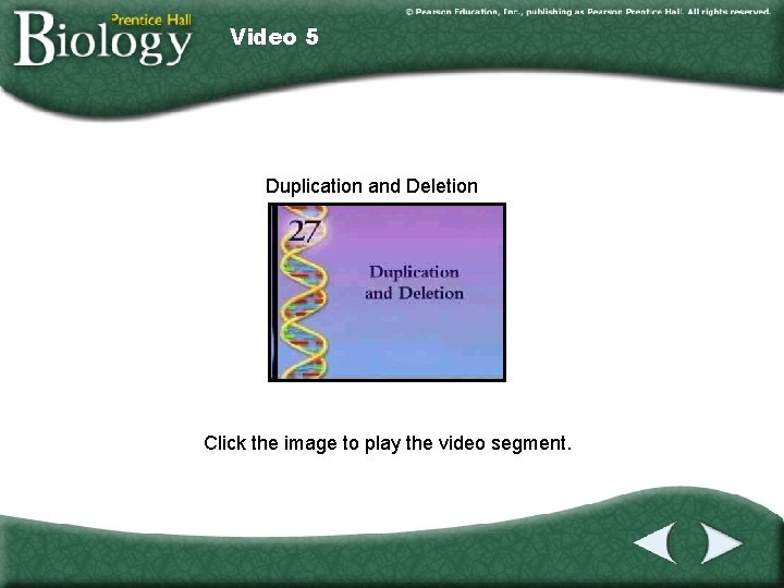 Video 5 Duplication and Deletion Click the image to play the video segment. 
