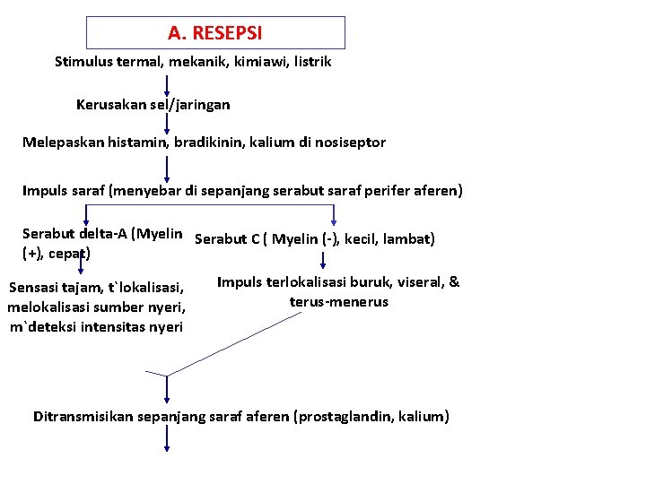 A. RESEPSI Stimulus termal, mekanik, kimiawi, listrik Kerusakan sel/jaringan Melepaskan histamin, bradikinin, kalium di