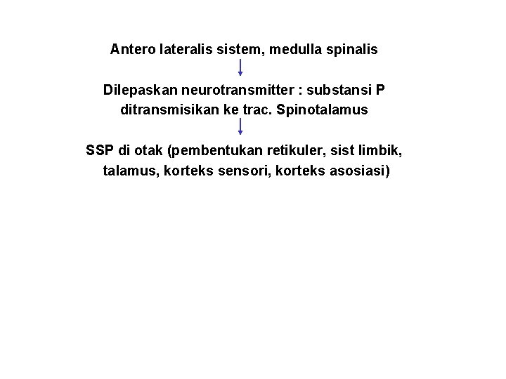 Antero lateralis sistem, medulla spinalis Dilepaskan neurotransmitter : substansi P ditransmisikan ke trac. Spinotalamus