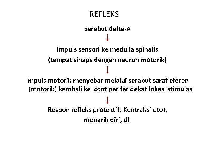 REFLEKS Serabut delta-A Impuls sensori ke medulla spinalis (tempat sinaps dengan neuron motorik) Impuls