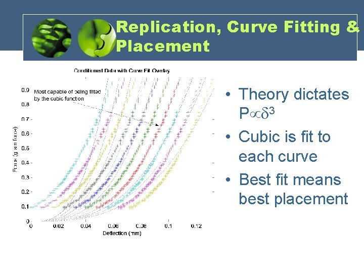 Replication, Curve Fitting & Placement • Theory dictates Pµd 3 • Cubic is fit