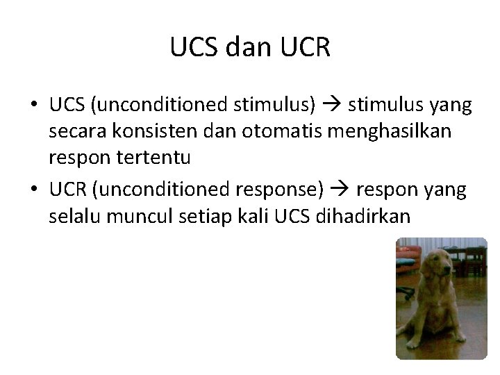 UCS dan UCR • UCS (unconditioned stimulus) stimulus yang secara konsisten dan otomatis menghasilkan