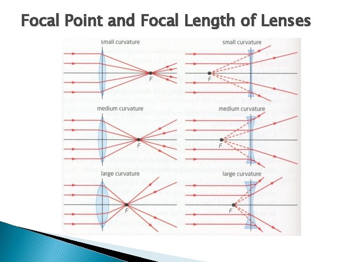 Focal Point and Focal Length of Lenses 