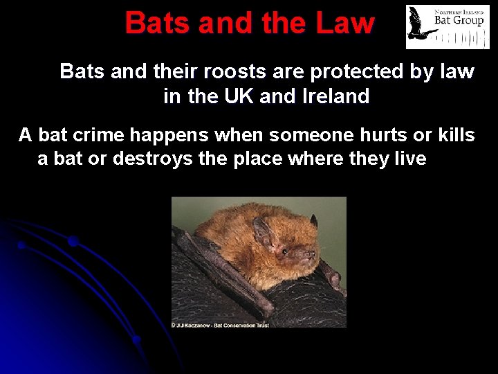 Bats and the Law Bats and their roosts are protected by law in the