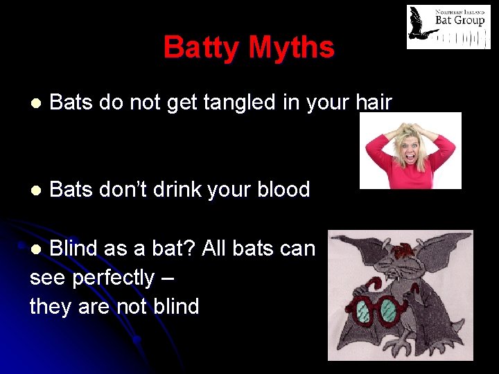 Batty Myths l Bats do not get tangled in your hair l Bats don’t