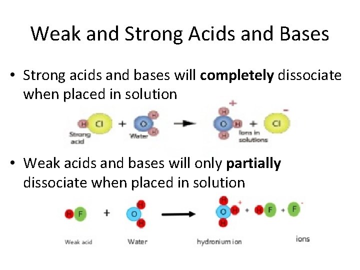 Weak and Strong Acids and Bases • Strong acids and bases will completely dissociate