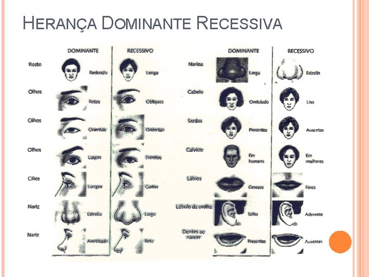 HERANÇA DOMINANTE RECESSIVA 