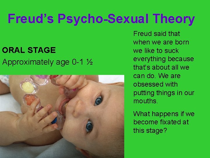 Freud’s Psycho-Sexual Theory ORAL STAGE Approximately age 0 -1 ½ Freud said that when