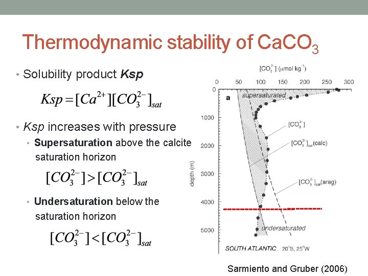 Thermodynamic stability of Ca. CO 3 • Solubility product Ksp • Ksp increases with