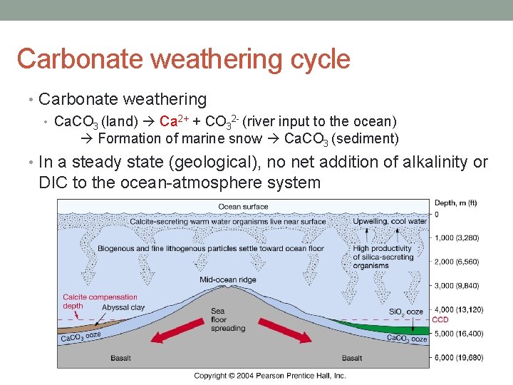 Carbonate weathering cycle • Carbonate weathering • Ca. CO 3 (land) Ca 2+ +