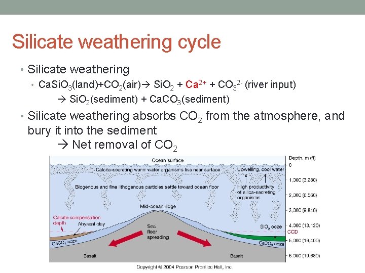 Silicate weathering cycle • Silicate weathering • Ca. Si. O 3(land)+CO 2(air) Si. O
