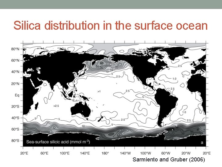 Silica distribution in the surface ocean Sarmiento and Gruber (2006) 