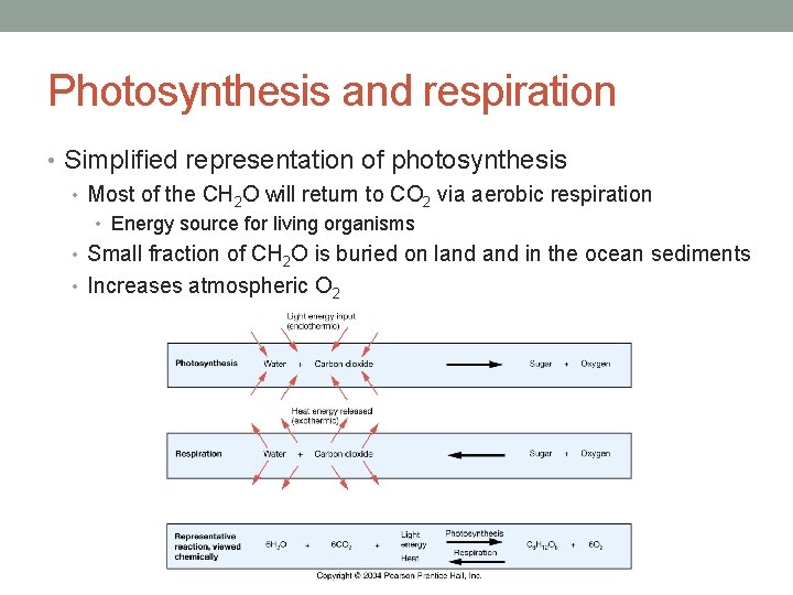 Photosynthesis and respiration • Simplified representation of photosynthesis • Most of the CH 2
