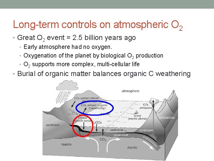 Long-term controls on atmospheric O 2 • Great O 2 event = 2. 5