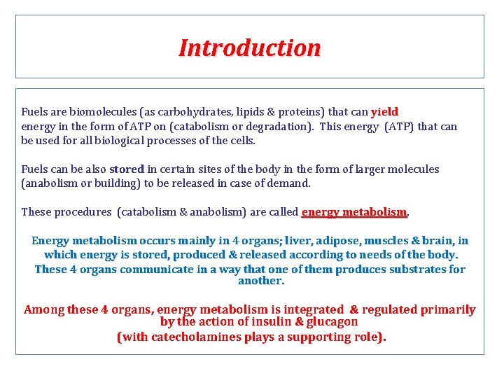 Introduction Fuels are biomolecules (as carbohydrates, lipids & proteins) that can yield energy in