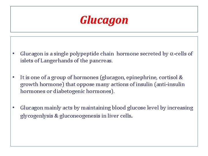 Glucagon • Glucagon is a single polypeptide chain hormone secreted by a-cells of islets
