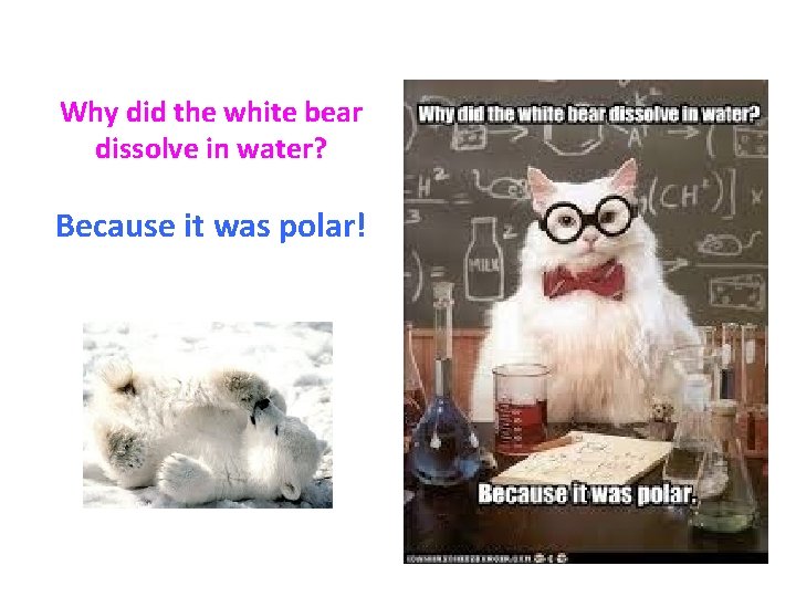 Why did the white bear dissolve in water? Because it was polar! 