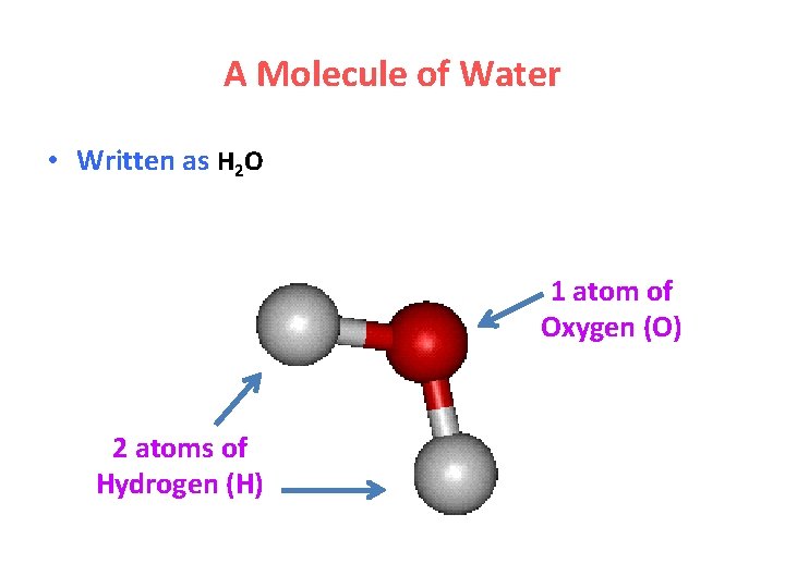 A Molecule of Water • Written as H 2 O 1 atom of Oxygen