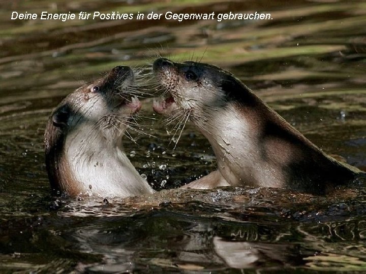 Deine Energie für Positives in der Gegenwart gebrauchen. 