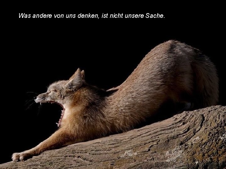 Was andere von uns denken, ist nicht unsere Sache. 