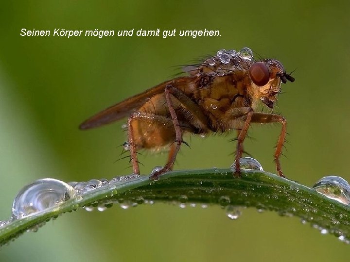 Seinen Körper mögen und damit gut umgehen. 
