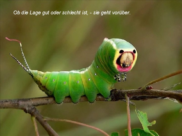 Ob die Lage gut oder schlecht ist, - sie geht vorüber. 