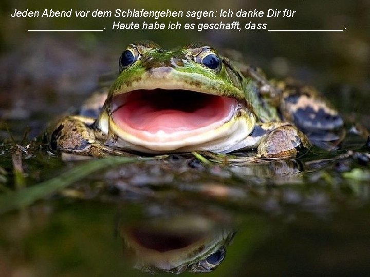 Jeden Abend vor dem Schlafengehen sagen: Ich danke Dir für _______. Heute habe ich