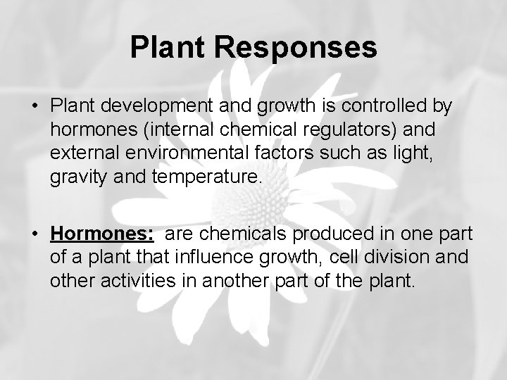 Plant Responses • Plant development and growth is controlled by hormones (internal chemical regulators)