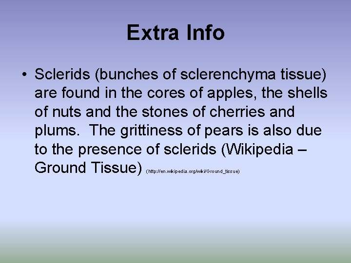 Extra Info • Sclerids (bunches of sclerenchyma tissue) are found in the cores of