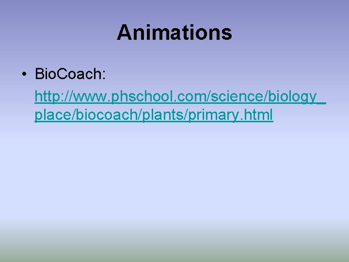 Animations • Bio. Coach: http: //www. phschool. com/science/biology_ place/biocoach/plants/primary. html 