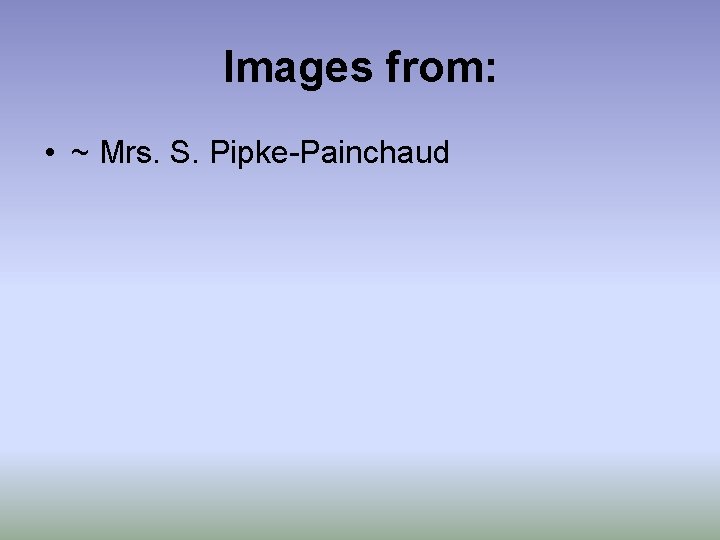 Images from: • ~ Mrs. S. Pipke-Painchaud 