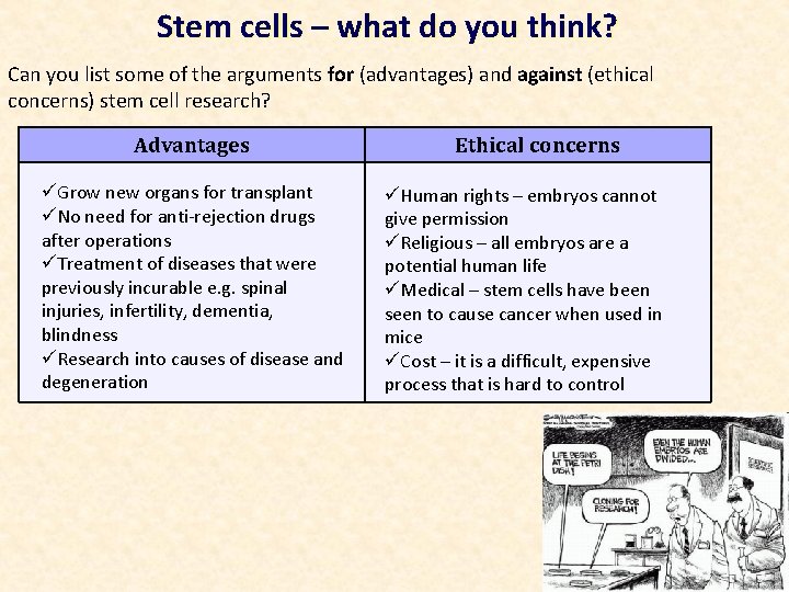 Stem cells – what do you think? Can you list some of the arguments