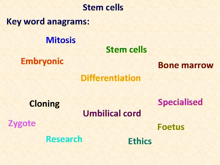 Stem cells Key word anagrams: Mitosis Stem cells Embryonic Bone marrow Differentiation Cloning Zygote