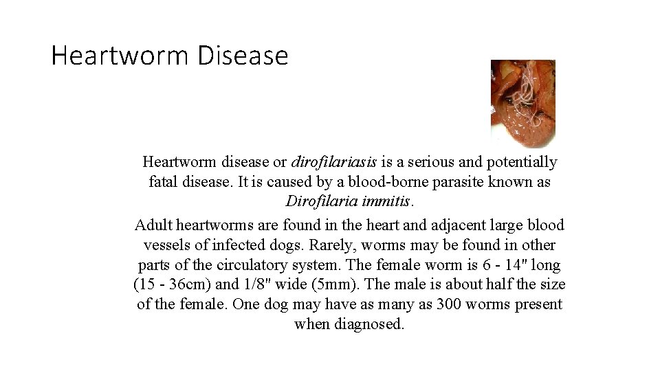 Heartworm Disease Heartworm disease or dirofilariasis is a serious and potentially fatal disease. It