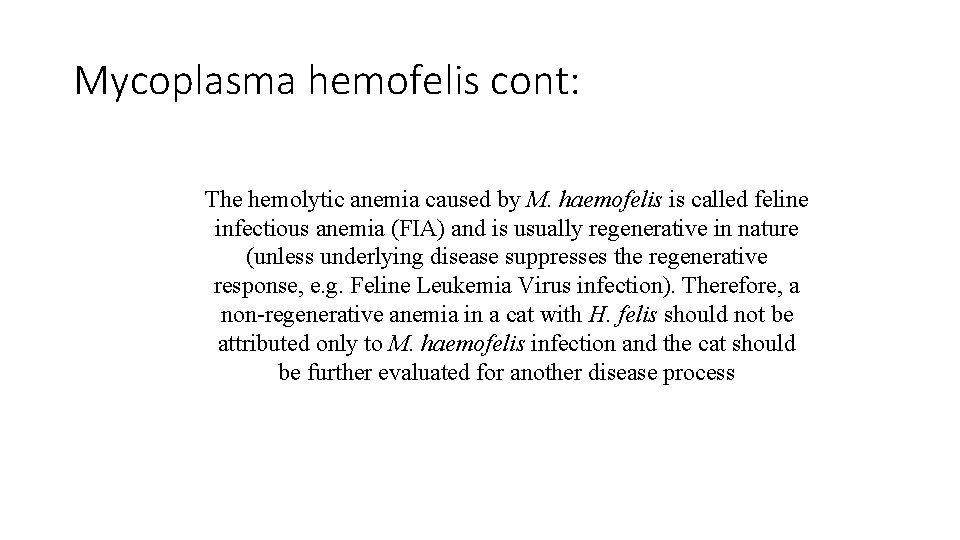 Mycoplasma hemofelis cont: The hemolytic anemia caused by M. haemofelis is called feline infectious