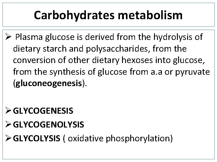 Carbohydrates metabolism Ø Plasma glucose is derived from the hydrolysis of dietary starch and