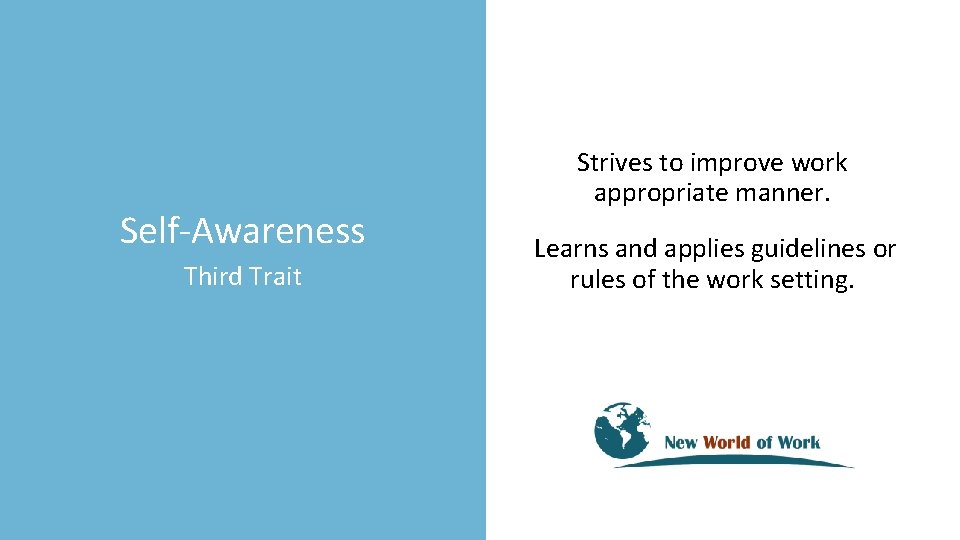 Self-Awareness Third Trait Strives to improve work appropriate manner. Learns and applies guidelines or