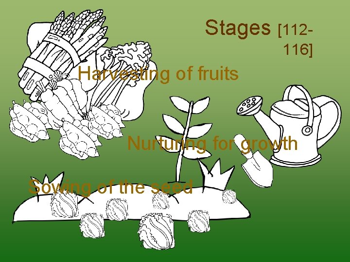 Stages [112116] Harvesting of fruits Nurturing for growth Sowing of the seed 