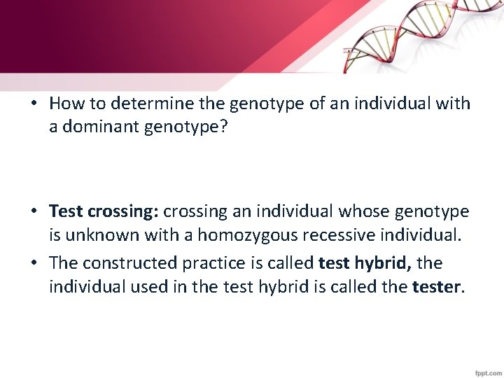  • How to determine the genotype of an individual with a dominant genotype?