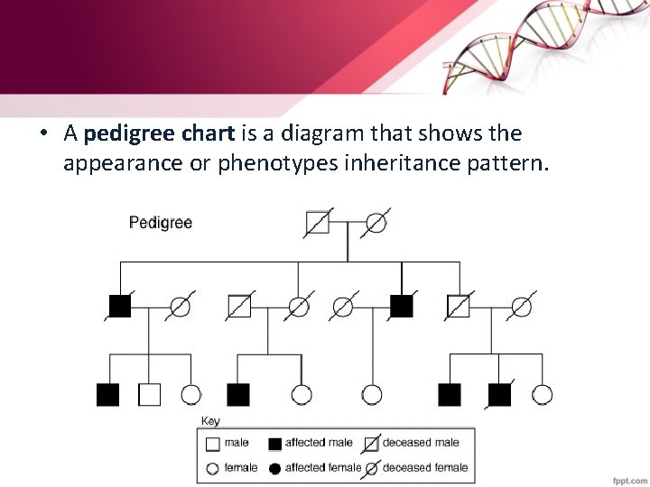  • A pedigree chart is a diagram that shows the appearance or phenotypes